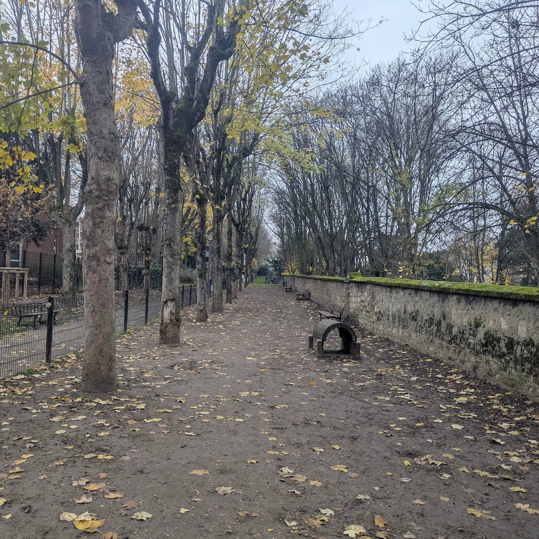 Parc canin 3